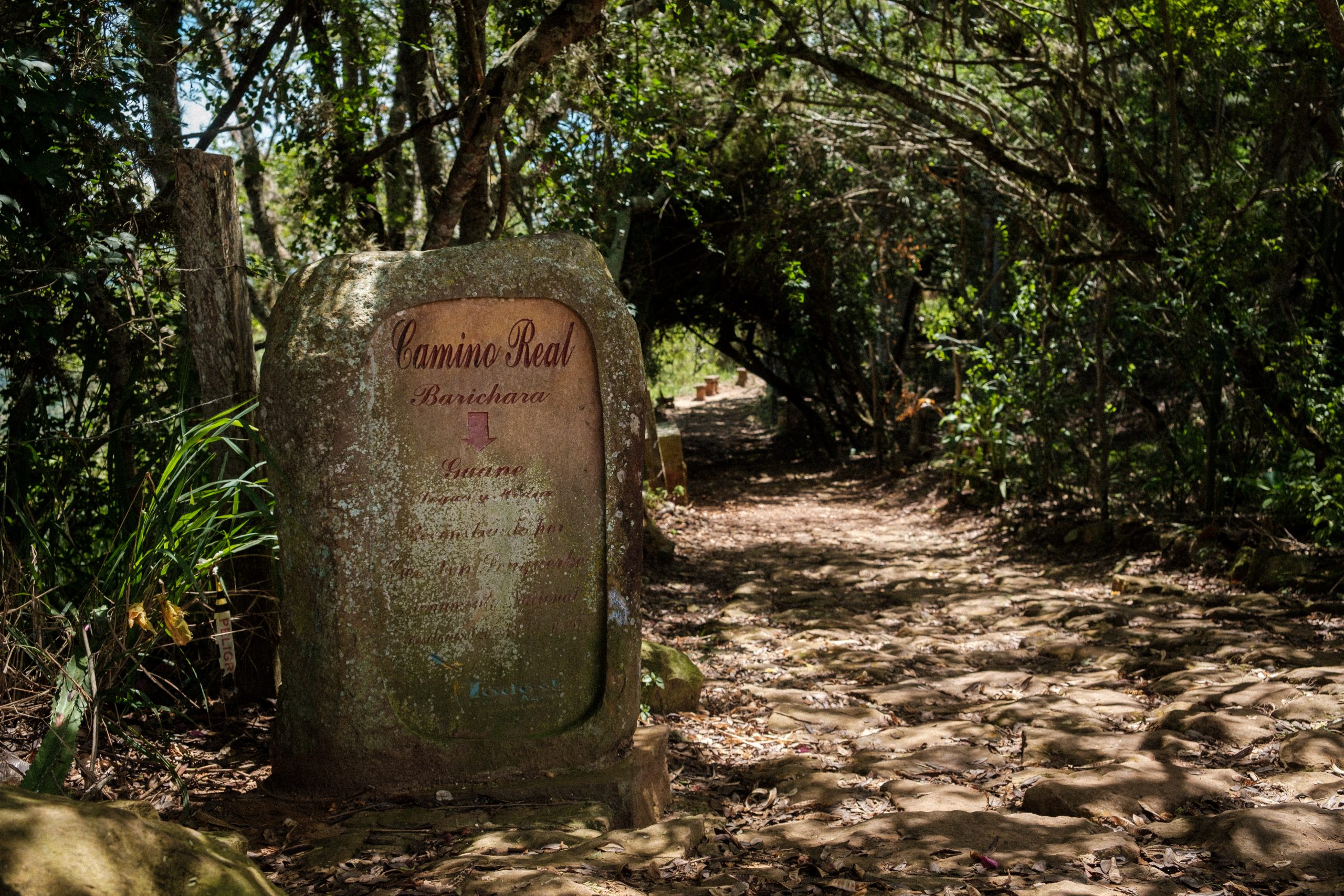 Camino Real Trailhead