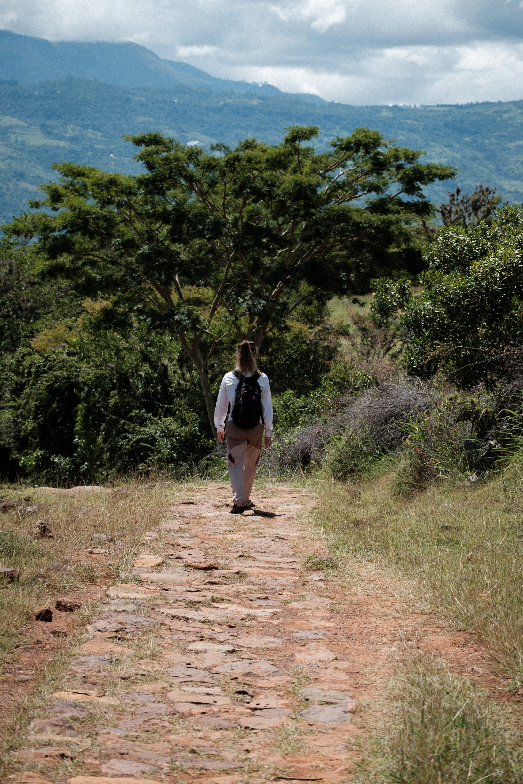 Camino Real Cobblestone path
